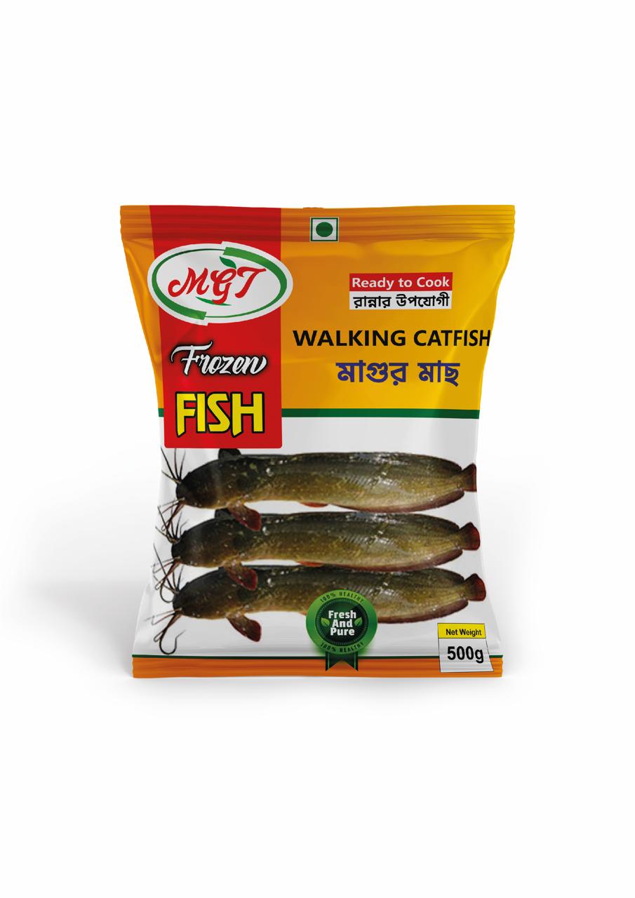 Walking Catfish